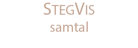 stegvissamtal.se